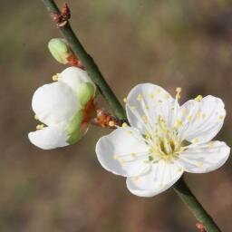 karinnachsicht's profile picture. Nachsicht Toleranz Barmherzigkeit Mitmenschlichkeit Wahrheit Aufrichtigkeit