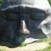 Scott Lawrence (@slawrencewine) Twitter profile photo