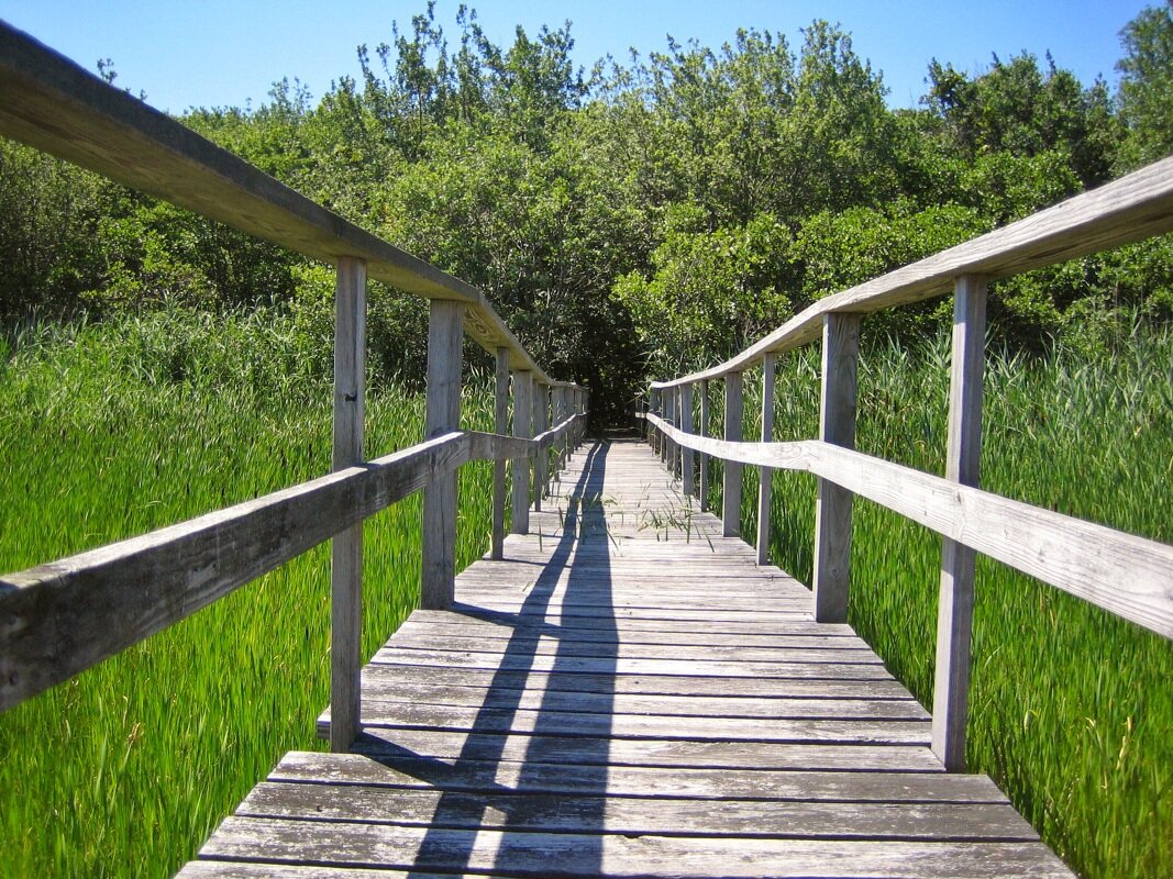 Heling you Bridge The Gap toward your career goals!