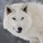 instinctforfilm's profile image