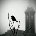 عبدالله علي الجعيد (@0545774220A) Twitter