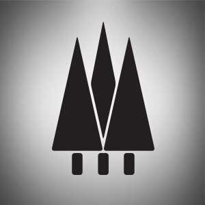 thesoundforest's profile picture. Interactive Artist and Entertainment Network