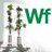windowfarms's profile image