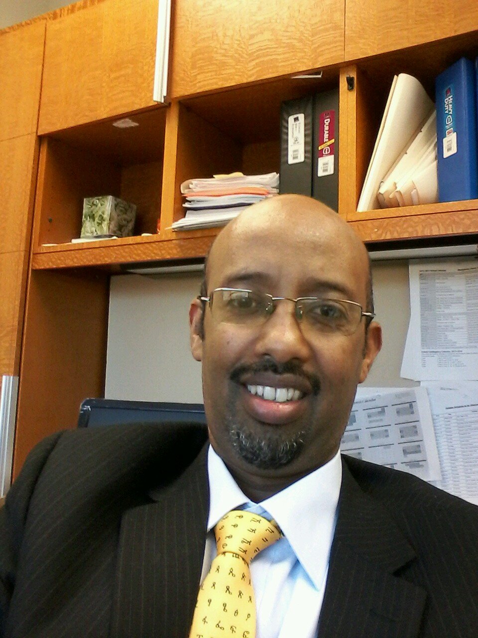 Ambassador Extraordinary & Plenipotentiary of Ethiopia to Switzerland, Austria, Hungary & Romania, PR of Ethiopia to the UN Offices & IOs at Geneva and Vienna