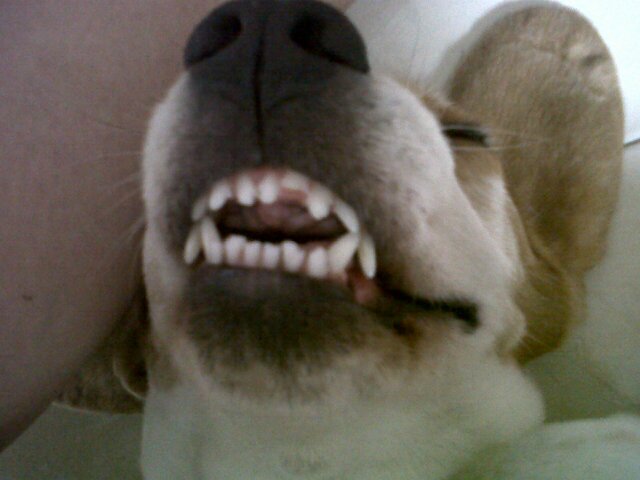 PIPI99313357's profile picture. 