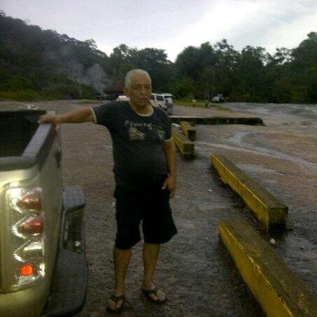 hvidalar459903's profile picture. 