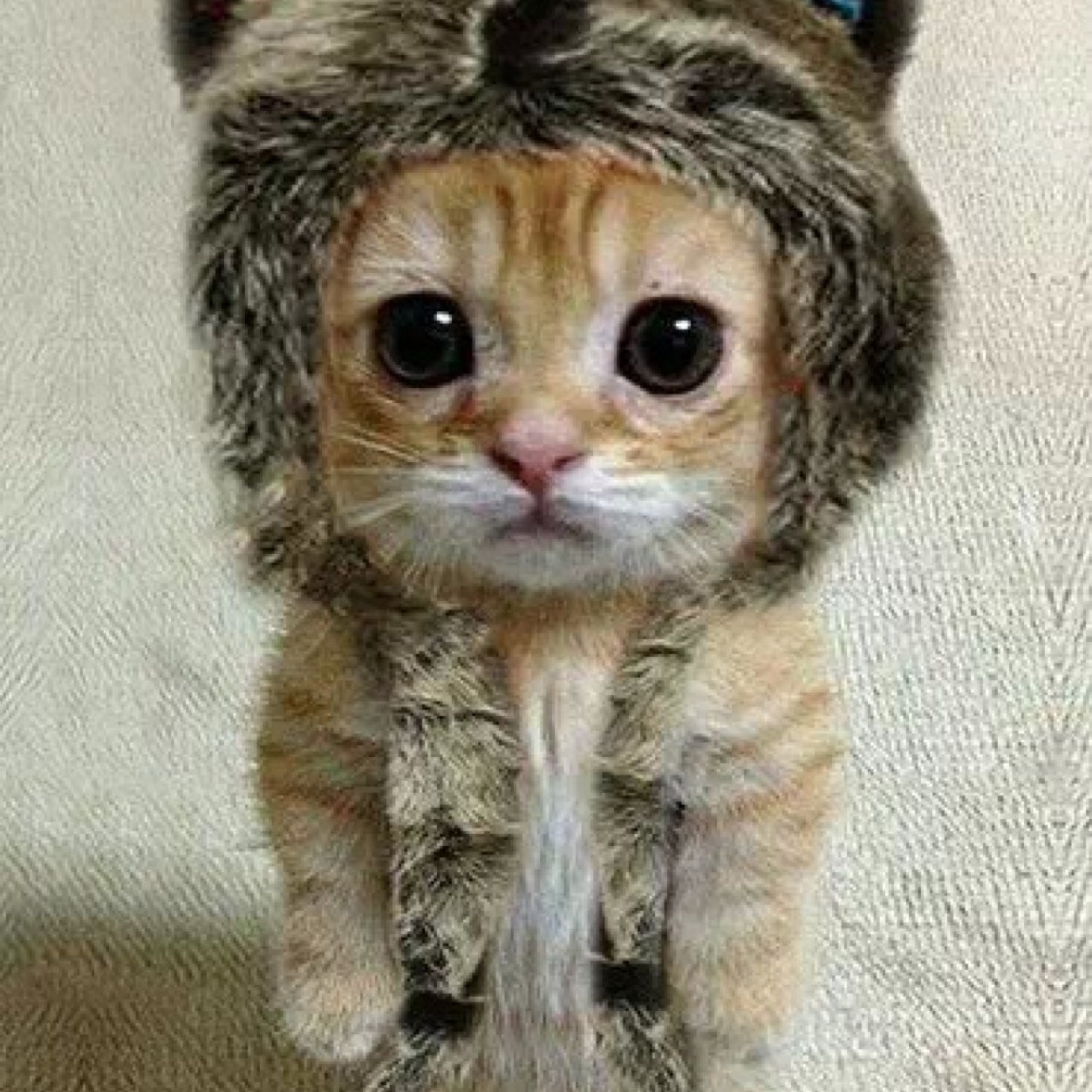 sarcasm_humor's profile picture. Laugh or gtfo