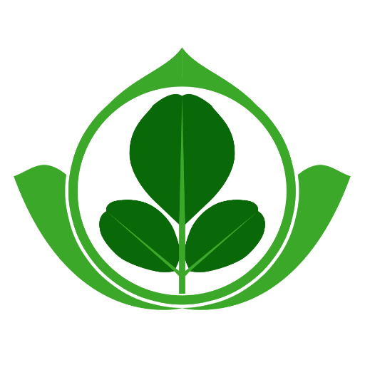 Empresa dedicada a la creación de productos de Moringa Oleifera.