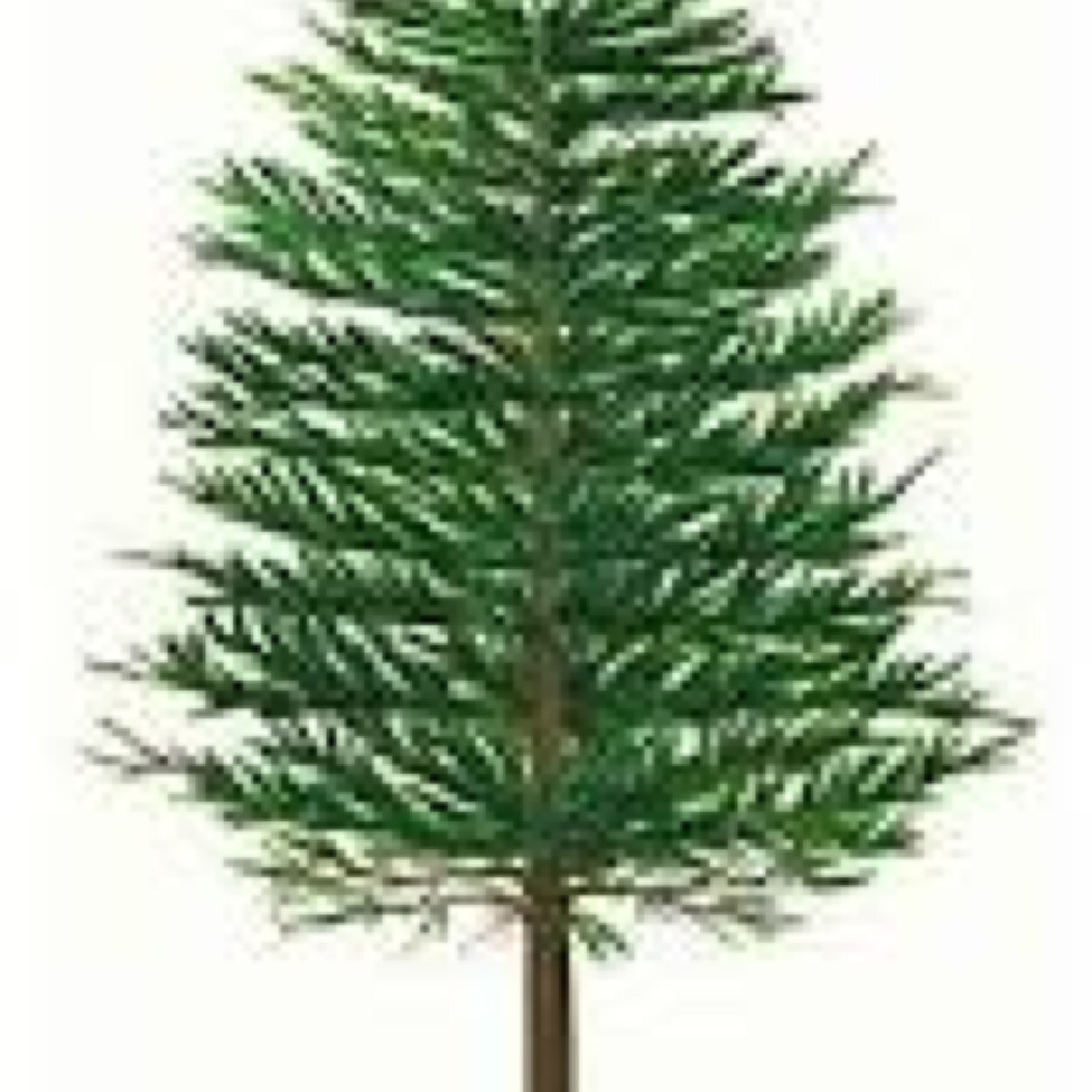 KingstreeMill's profile picture. DM Me Your Anonomous Rumors!