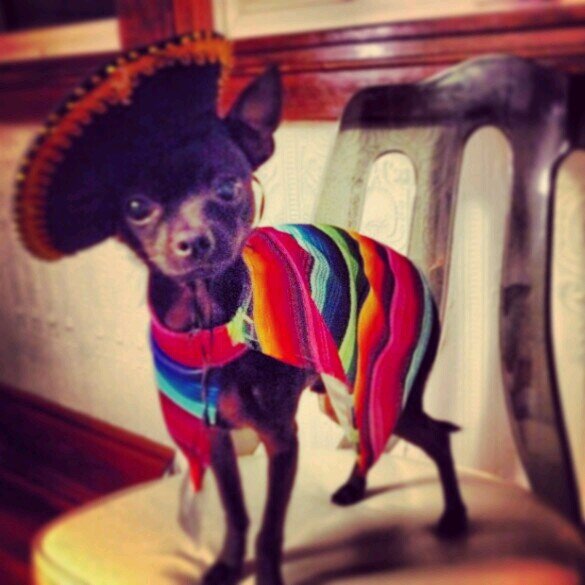 WeeeWork's profile picture. Happiness Coordinator in Toronto, ON ready to bring fun to your office and smiles to your employees.  Let us put the weee back in work week. weeework@gmail.com