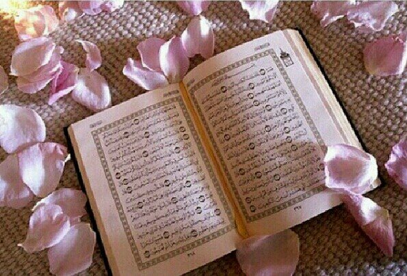 مالنا غيرك يالله