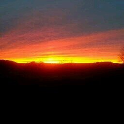 DarenMcClellan's profile picture. 