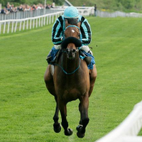 Taran Grønlie (@tajara) 's Twitter Profile