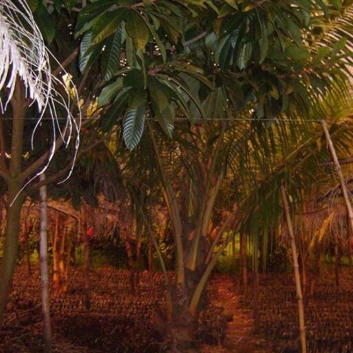 haroldspeed1's profile picture. 