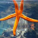 Marco Passarelli - @MarcoPassarell7 - Twitter