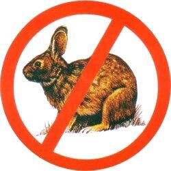 The Darling Downs Moreton Rabbit Board maintain a 555km rabbit proof fence & monitor compliance with Land Protection (Pest & Stock Route Management) Act 2002