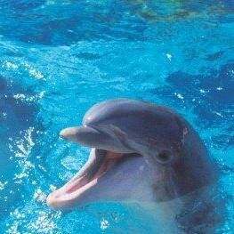 Hotels-Reservations-Deals-Young-Attractions
052-4822620