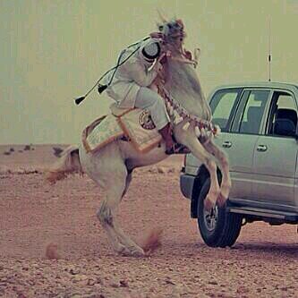 kik:7hhm bbm 75120EBE اريد اطلالة جميلة منكم ♡