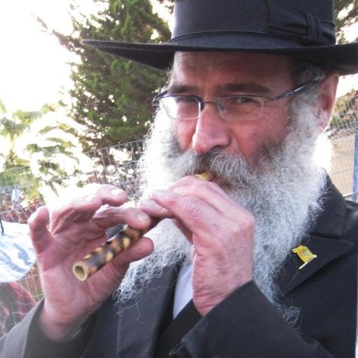 tuvia_doron's profile picture. 