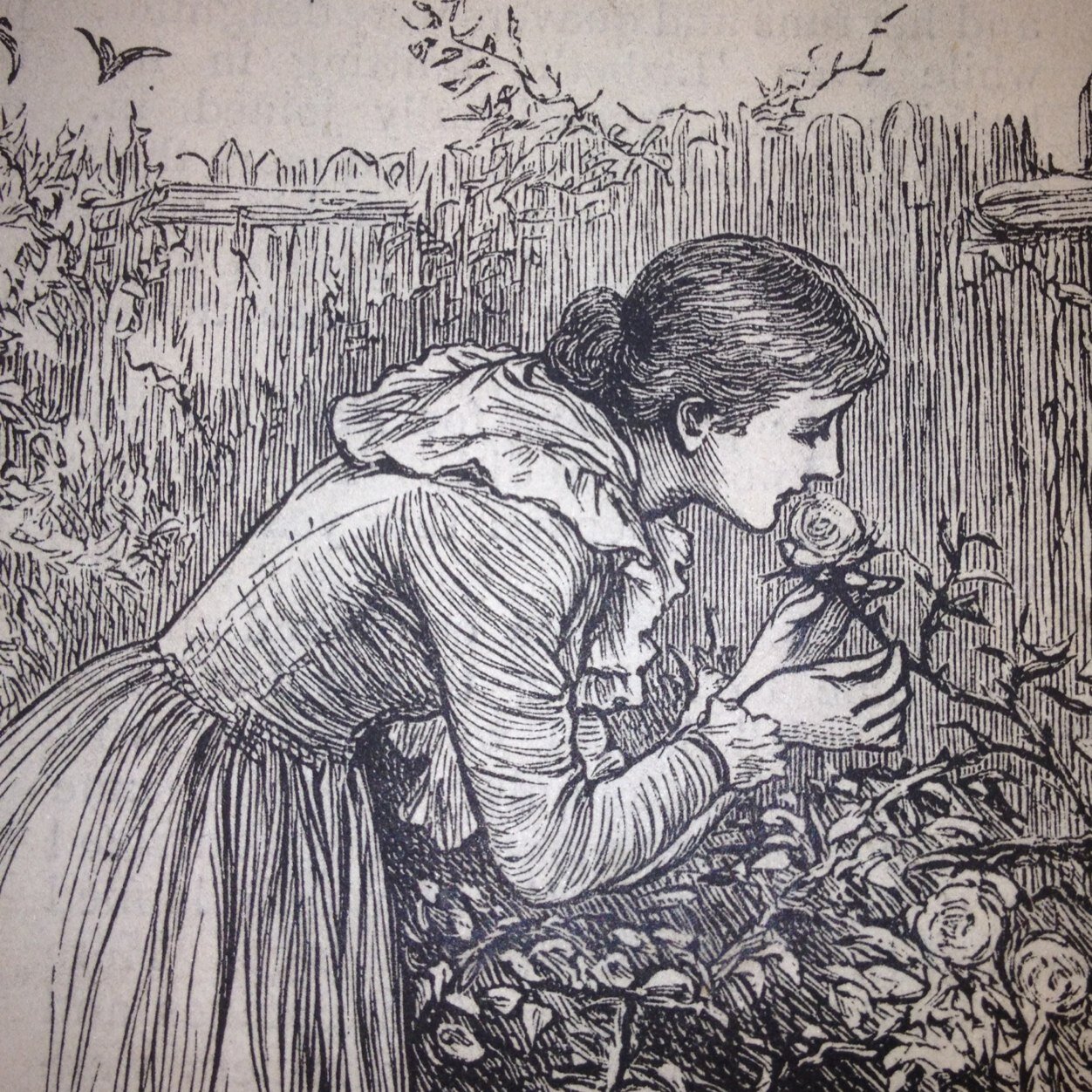 Genuine replies from 1880s and 1890s problem pages. Captions encouraged on Sunday only #GirlsOwnCC and comment (sarcastic or sweet) the rest of the week