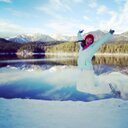 Allyson Montgomery - @lurgkin - Twitter