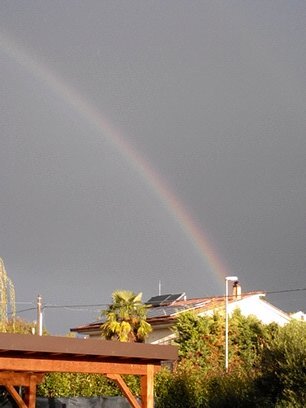 LucianoLuxViola's profile picture. A volte l'unico modo per rimanere sani di mente è diventare un po' pazzi.