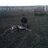 nelson3310's profile image