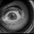 JustGoodMovies's profile image