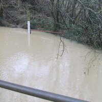 floodfair  (@floodfair) 's Twitter Profile