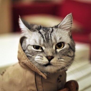 diennesmar's profile picture. #ВзаимныйФолловинг #ЧитаюВзаимно #follow #followback Пью #тетрогидрогиперохлоридный Спирт