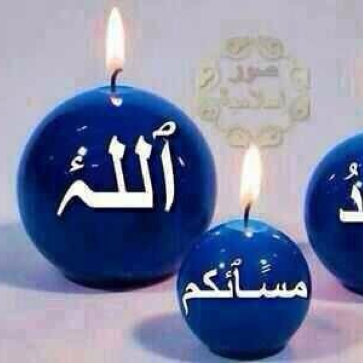 anmtere's profile picture. 