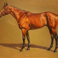 Marcus Tregoning (@tregoningracing) 's Twitter Profile