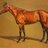 tregoningracing's profile image