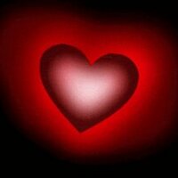 꽃피는 계절 (@j142142j) 's Twitter Profile