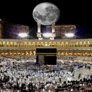 أستاذ الادارة التربوية المساعد جامعة طيبة