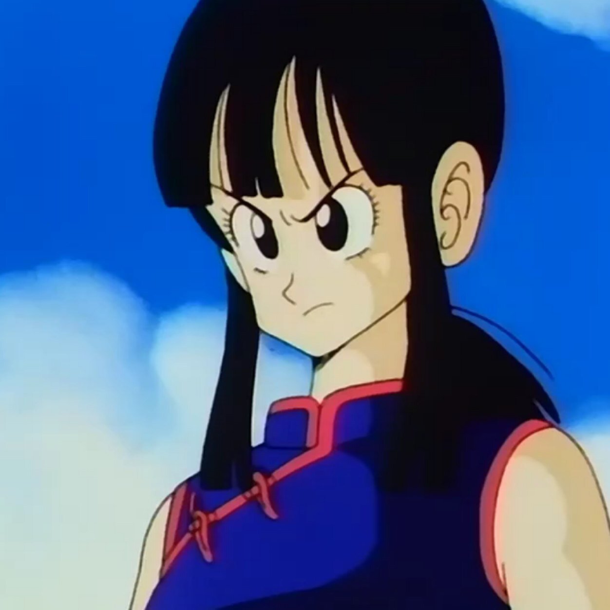 I am Chi Chi, wife to Goku. He is my brave and strong husband, and we have two lovely sons called Gohan and Goten.