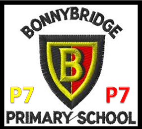 Official Twitter account of Primary 7 at Bonnybridge Primary School.