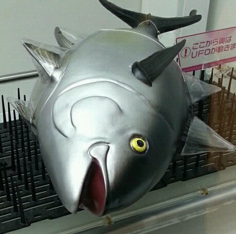 さかなやさんのプロフィール画像