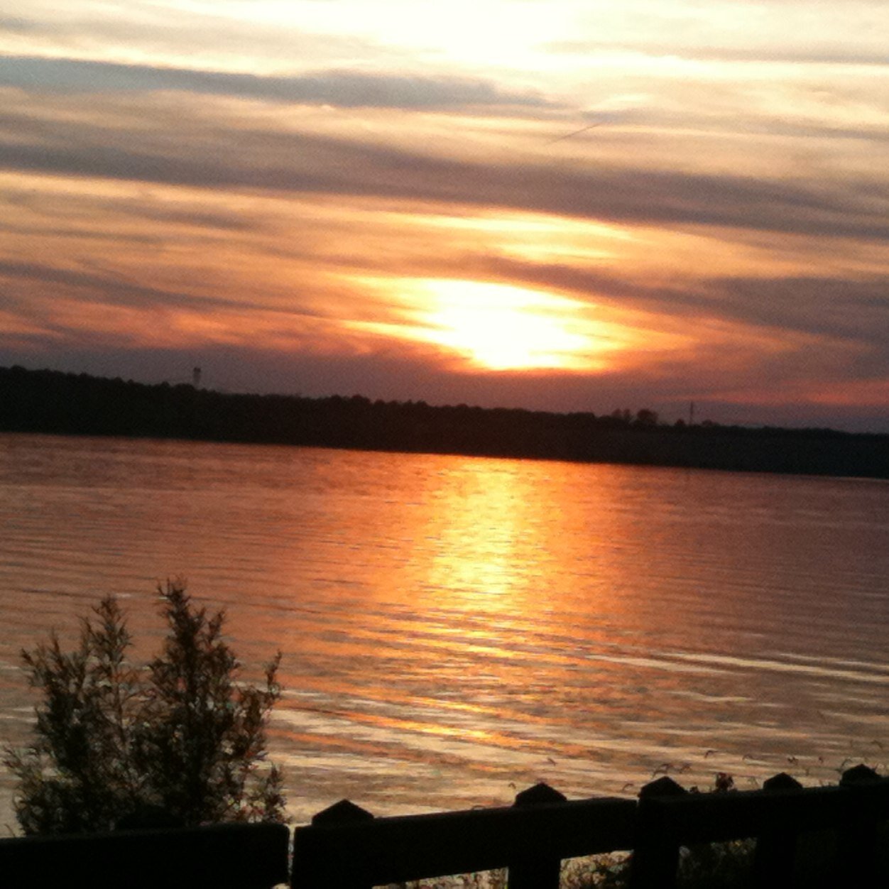 banjodan54's profile picture. Just a guy with a view