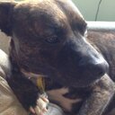 stephen fulcher - @fulcher_stephen - Twitter