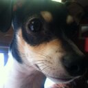 Michael Licata - @mplicata - Twitter