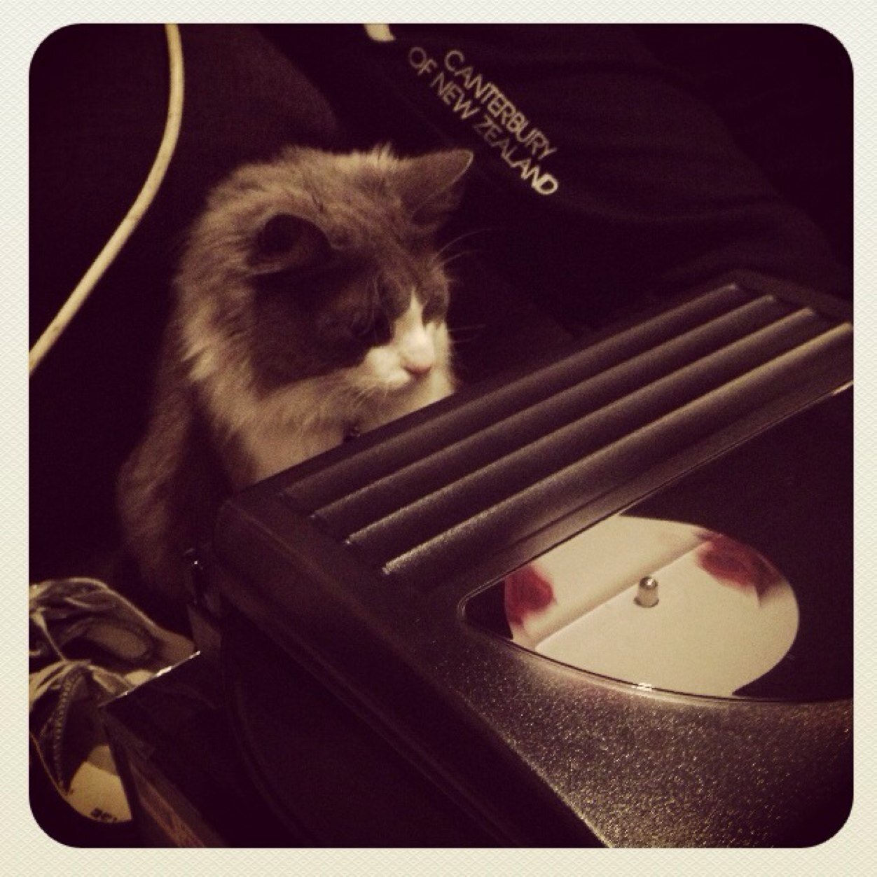 LosingT0uch's profile picture. Not always here. 
I'm losing touch 😉❤️⚡️