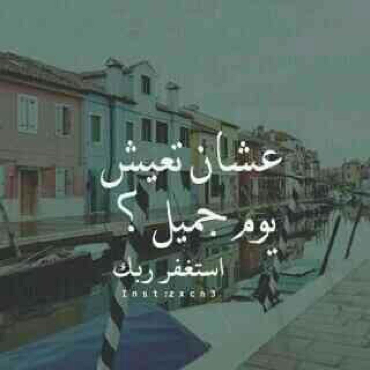 بسم الله الرحمن الرحيم ( الا بذكر الله تطمئن القلوب)❤️