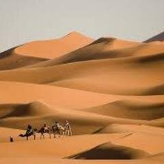S01A_Sahara's profile picture. 