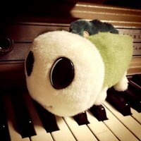 千葉純治 (@junjichiba) 's Twitter Profile Photo