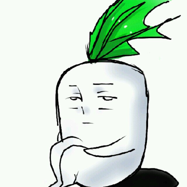 つかわないのよさんのプロフィール画像