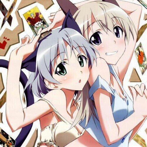 きりりんさんのプロフィール画像