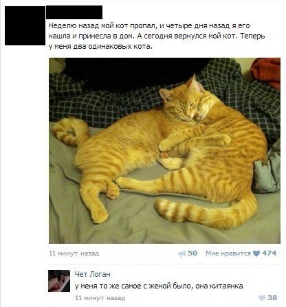 FMDostoevskij's profile picture. 