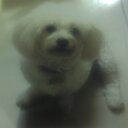 Marlo (@57_marlo) Twitter