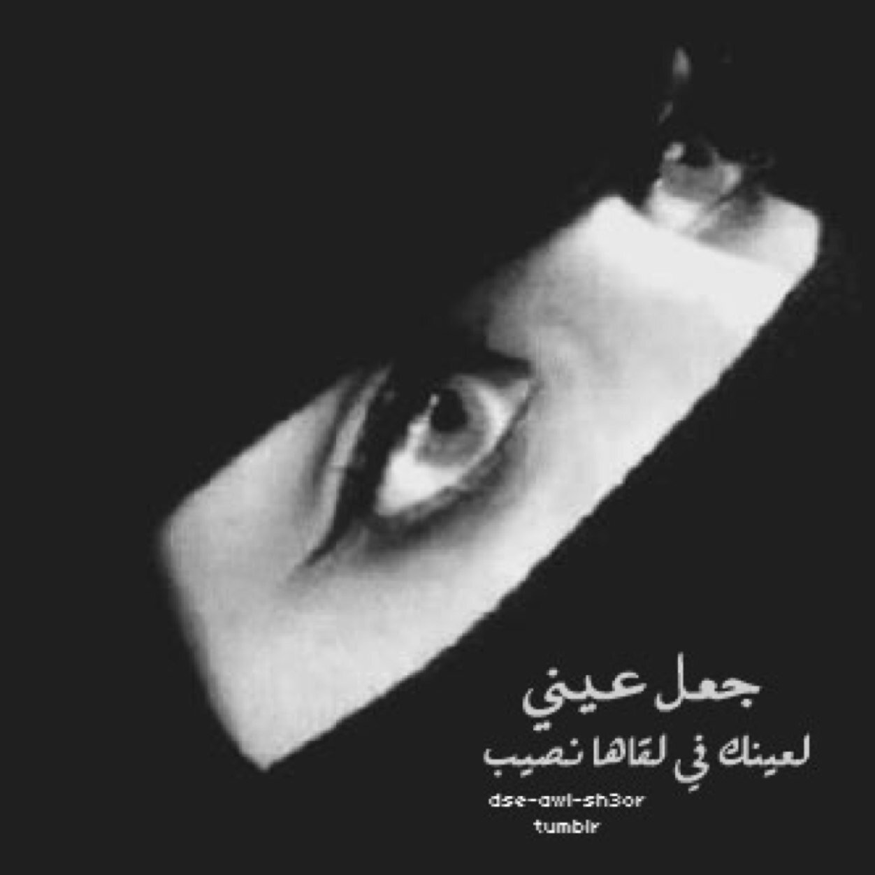 أعشق ثرثرة الكتابة .. لكن واقعي صامت!